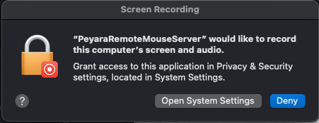 Allow Screen recording permission